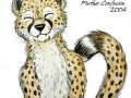 FC_cheetah.jpg